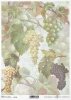 Decoupage de papel de frutas, uvas*Бумага декупаж фруктов, виноград*Papier decoupage Obst, Trauben